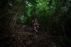 BIB: 
                            <button type="button" onclick="openModal(25096299)" class="btn btn-primary btn-sm float-right btn-popup" data-toggle="modal" data-target=".modal-high-quality">
                        <i class="fas fa-shopping-cart"></i> Add to Cart
                    </button>
                                            <button type="button" onclick="isThisMe(25096299, true)" class="btn btn-success btn-sm float-right btn-popup btn-isme hidden" data-toggle="tooltip" data-placement="bottom" title="นี่คือรูปของคุณใช่ไหม คลิกที่นี่เพื่อเอาเข้าอัลบั้ม">
                        <i class="fas fa-plus"></i> Add to album
                    </button>
                    <button type="button" onclick="isThisMe(25096299, false)" class="btn btn-warning btn-sm float-right btn-popup btn-isnotme hidden">
                        <i class="fas fa-ban"></i> Remove from album
                    </button>